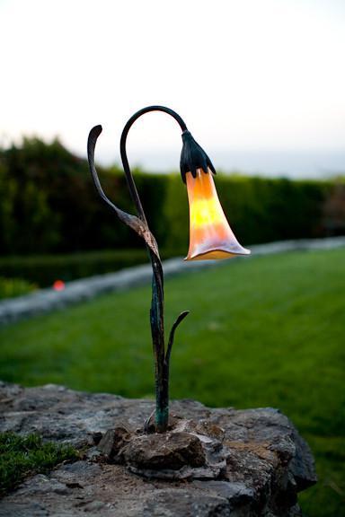 Calla Lily