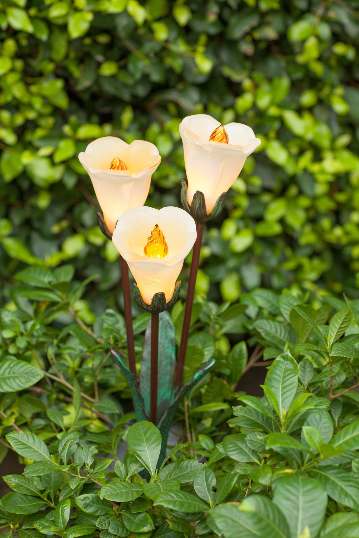 Tulip Cluster Bronze