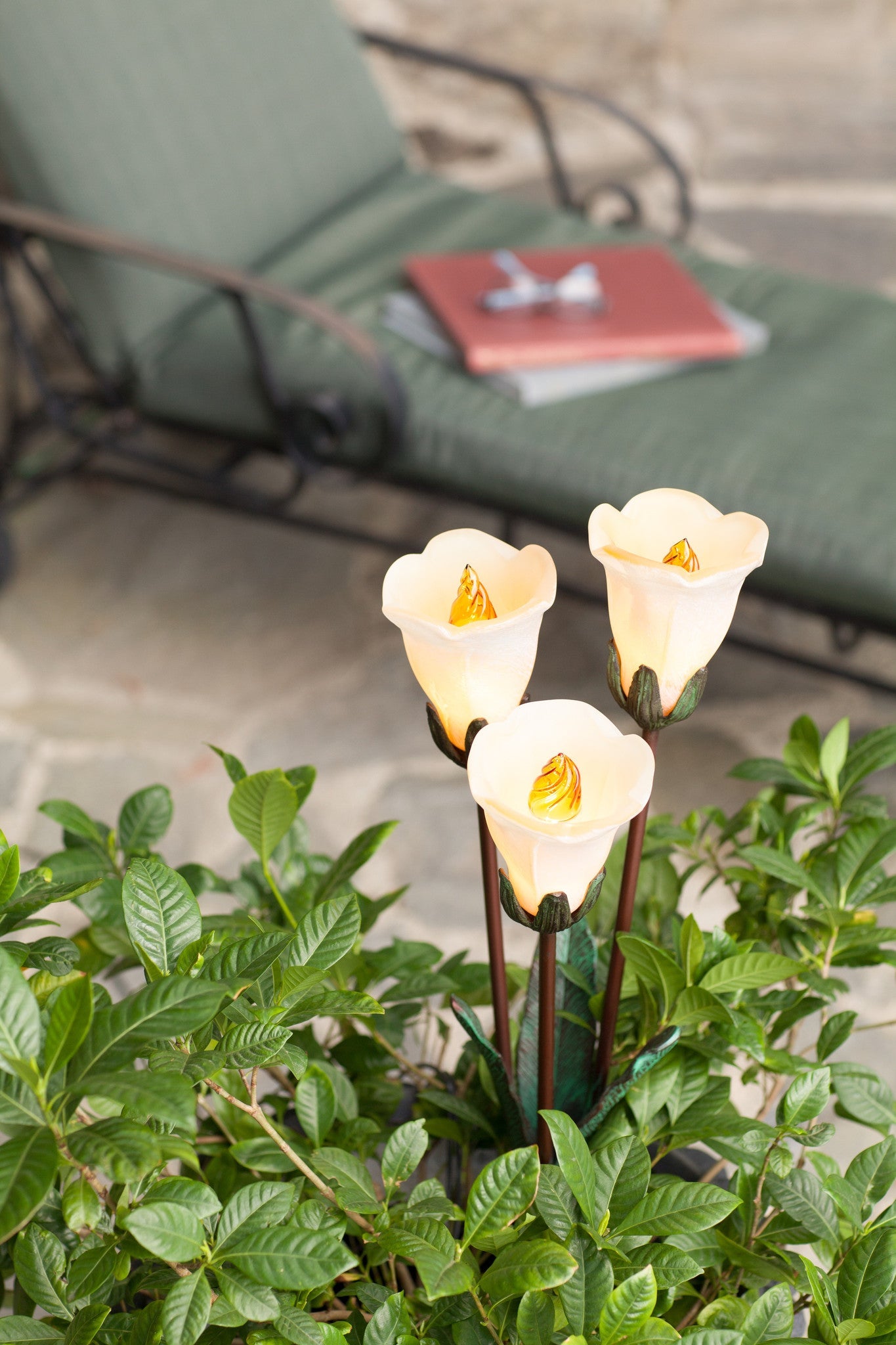 Tulip Cluster Bronze